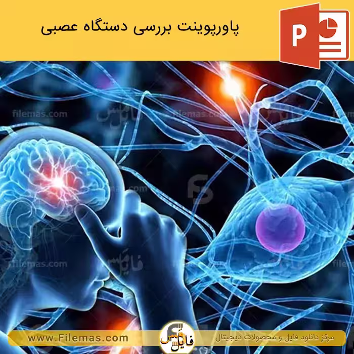 پاورپوینت دستگاه عصبی بدن انسان