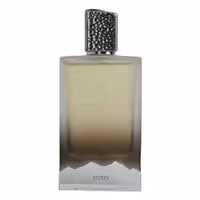 ادوپرفیوم مردانه مونت برومو Mont Bromo مدل Joko حجم 100 میلی‌لیتر - نگین عطر