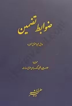 ضوابط تضمین (ذیل محیط حقوق عمومی)