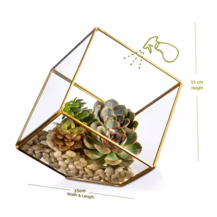 باکس شیشه ای مدل تراریوم مکعبی کد MT 126578