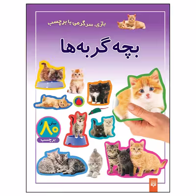 کتاب بچه گربه ها اثر راحله عابدین نیا انتشارات پیدایش