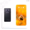 برچسب پوششی ماهوت مدل Squirrel مناسب برای گوشی موبایل سامسونگ Galaxy J7 2016