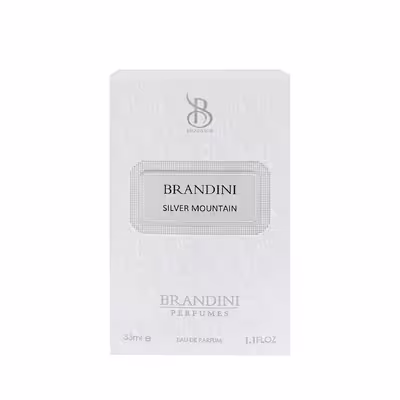 عطر جیبی  برندینی مدل Silver Mountain حجم 33 میلی لیتر