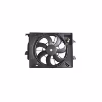 فن کامل کیا ریو