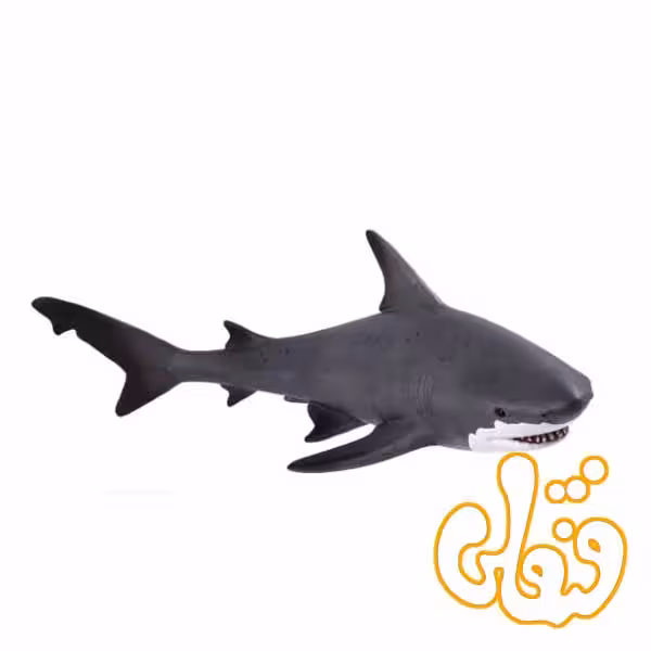 کوسه بلوز Bull Shark 387270