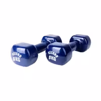 دمبل ایروبیک رکورد 8 کیلوگرم بسته 2 عددی