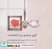 قیمت و خرید کتاب کوی نومیدی مرو امیدهاست | ایده بوک