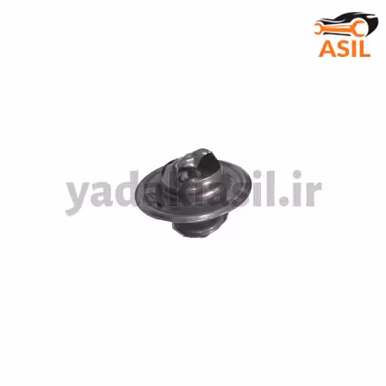 ترموستات پیکان 74 درجه بابا پارت