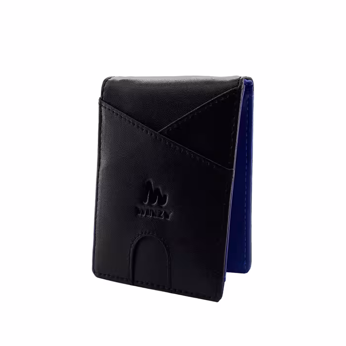 جا کارتی چرمی مدل WINZY