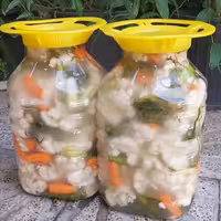 ترشی شور (پس کرایه)