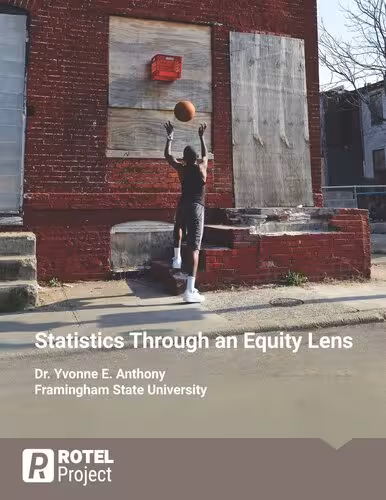 خرید و دانلود نسخه کامل کتاب Statistics Through an Equity Lens