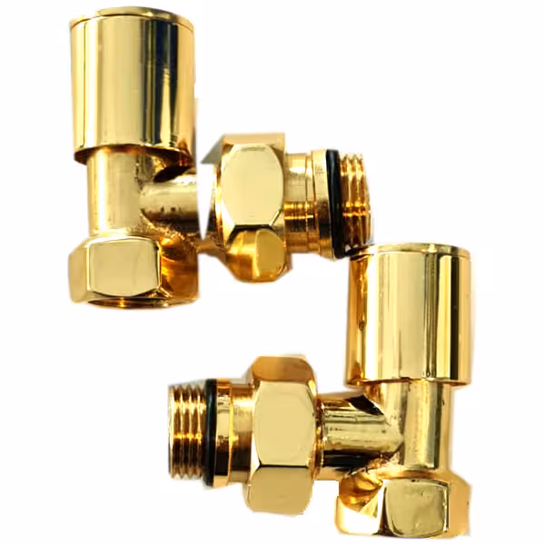 شیر و زانو طلایی