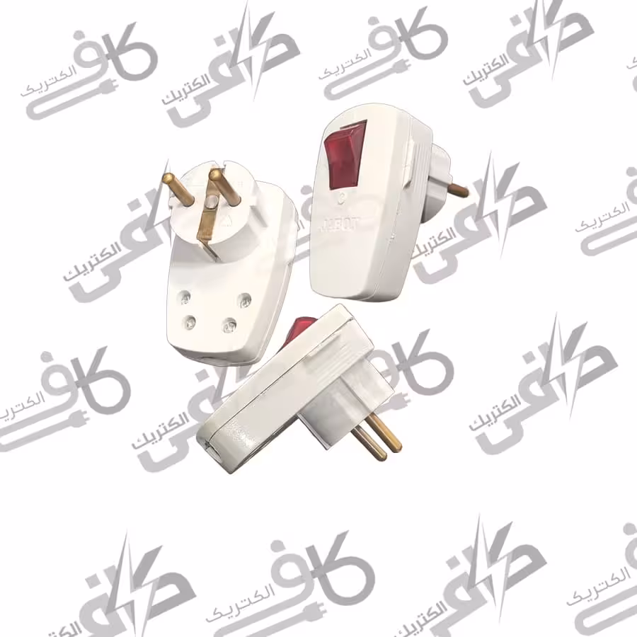 دوشاخه کلید دار