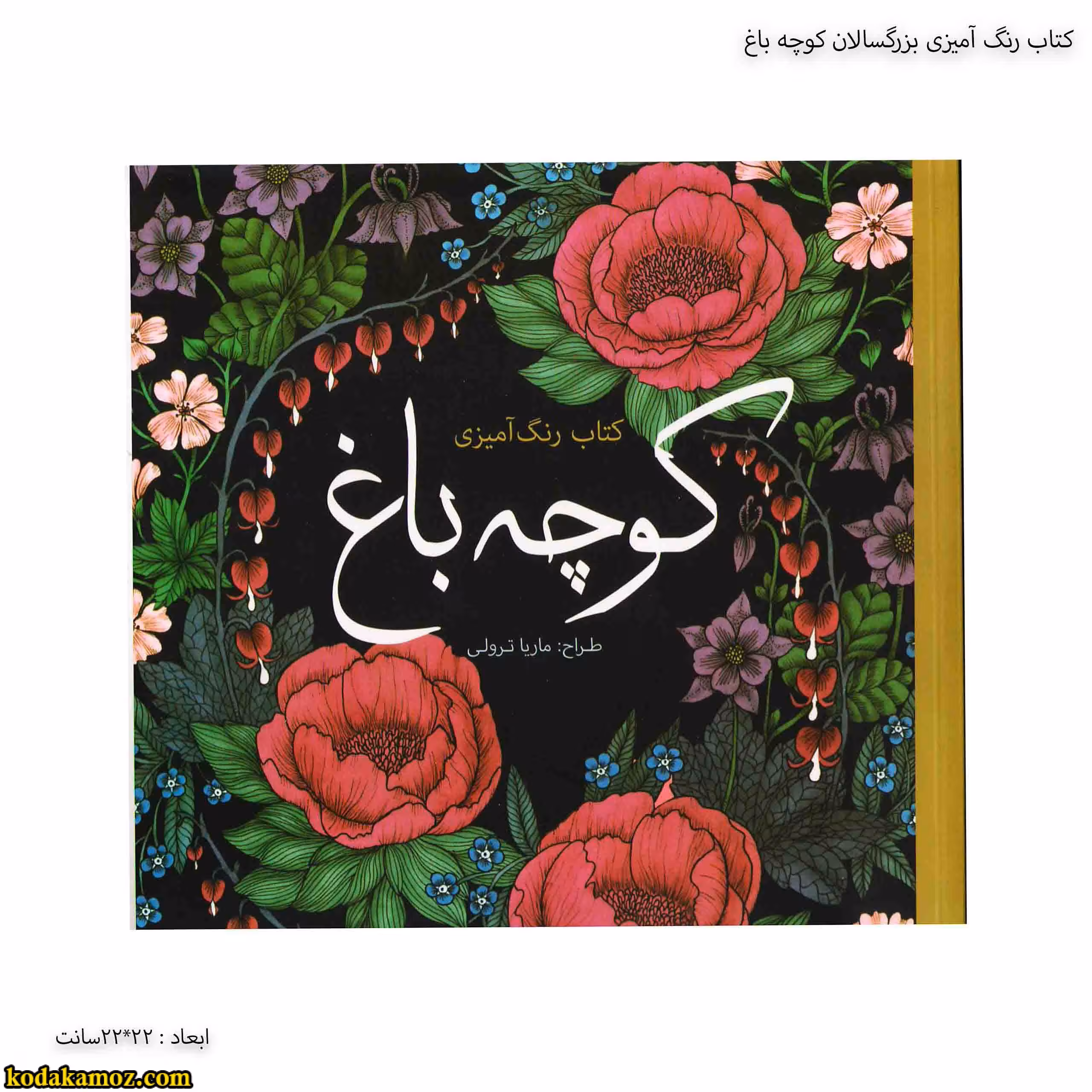 کتاب رنگ آمیزی بزرگسالان کوچه باغ