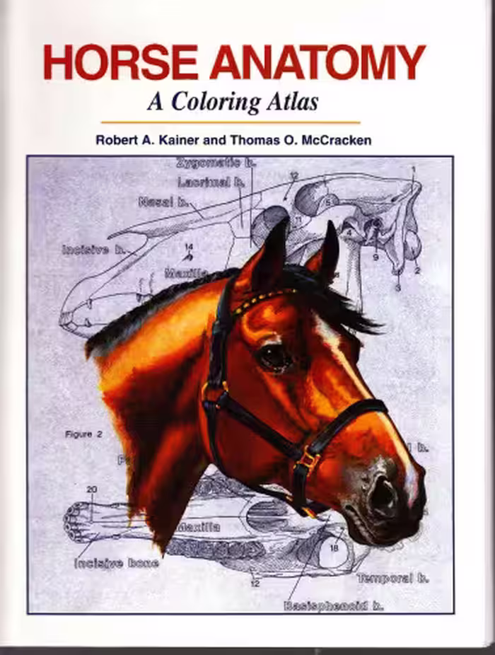خرید و دانلود نسخه کامل کتاب Horse Anatomy : A Coloring Atlas
