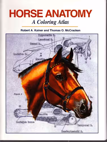خرید و دانلود نسخه کامل کتاب Horse Anatomy : A Coloring Atlas