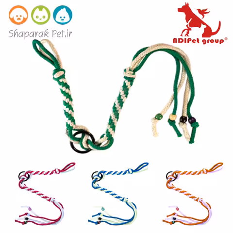 دندونی کنفی شلاقی