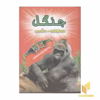 کتاب سه بعدی جنگل اثر پل هریسون نشر سایه گستر