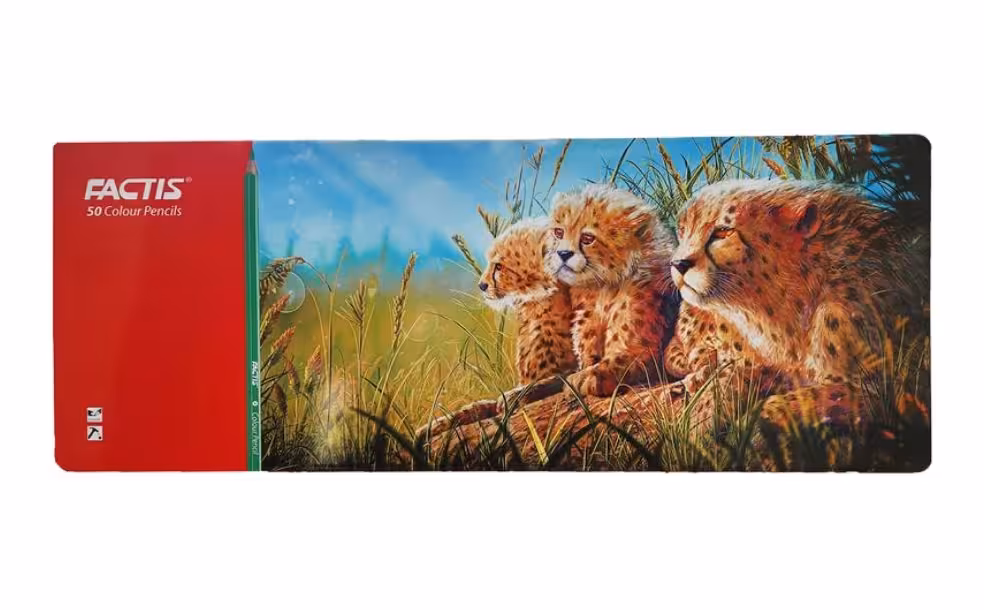 مداد رنگی 50 رنگ فکتیس