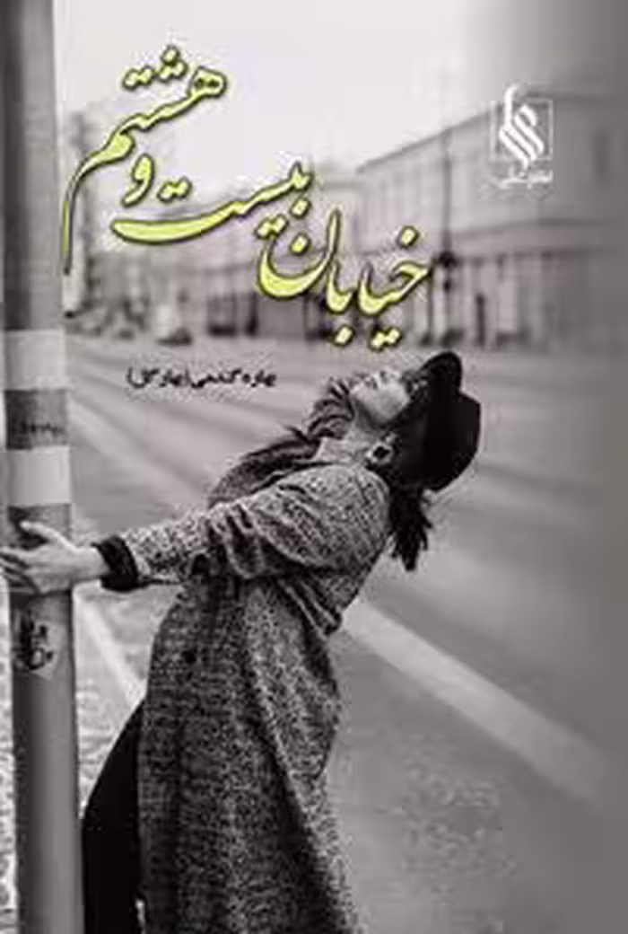 كتاب خيابان بيست و هشتم نشر علي