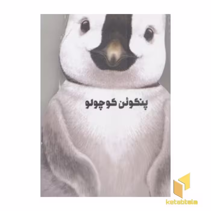 کتاب پنگوئن کوچولو (مقوایی-رحلی) اثر جیووانی کاویزل نشر کتاب های زنبور- گاج