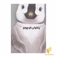 کتاب پنگوئن کوچولو (مقوایی-رحلی) اثر جیووانی کاویزل نشر کتاب های زنبور- گاج
