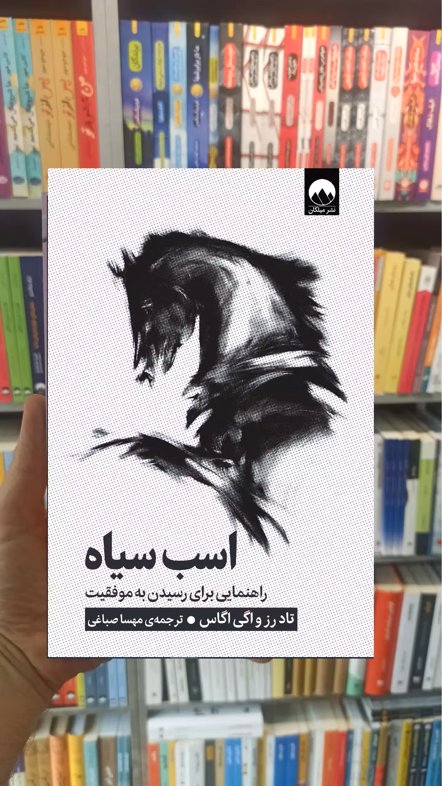 اسب سیاه تاد رز میلکان