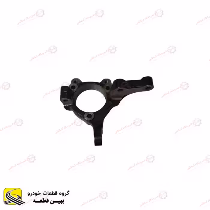 سگ دست جلو چپ لاماری