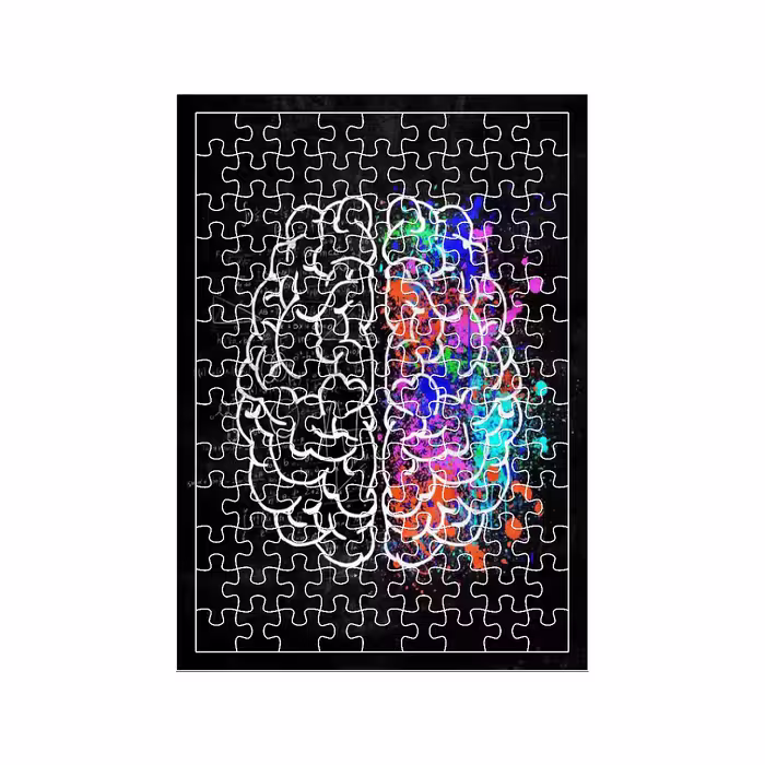 پازل 117 تکه مدل مغز کد 1660