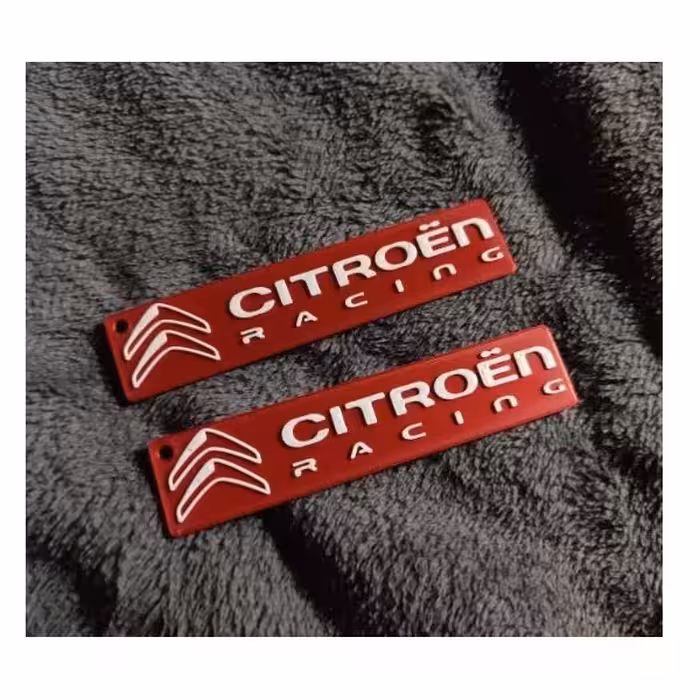 جاسوئیچی خودرو مدل X2 مناسب برای زانتیا