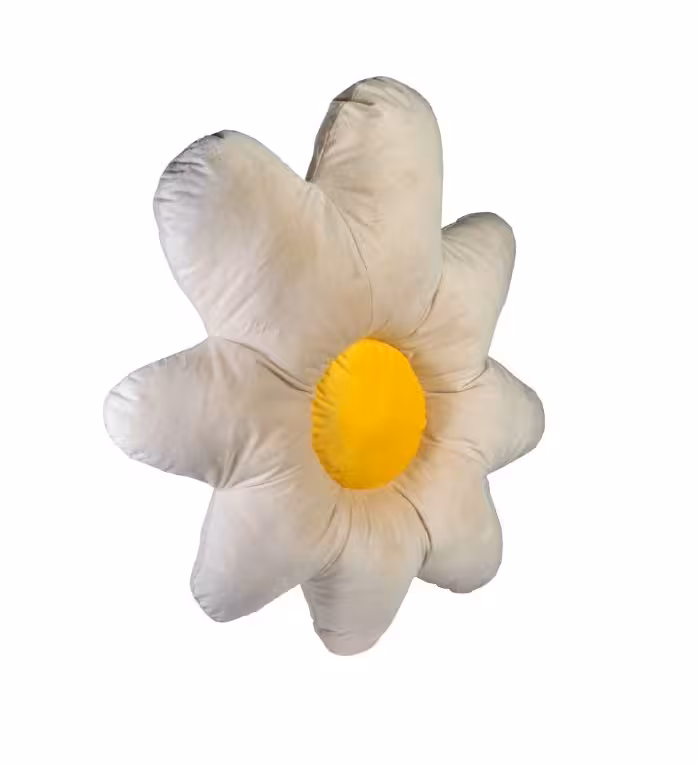 گلبرگ نشیمن صندلی