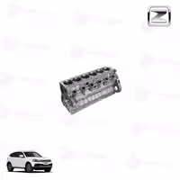 سر سیلندر کامل کوپا ریگان