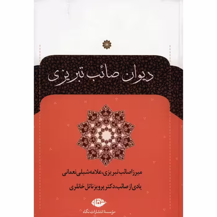 کتاب دیوان صائب تبریزی دو جلدی نشر نگاه