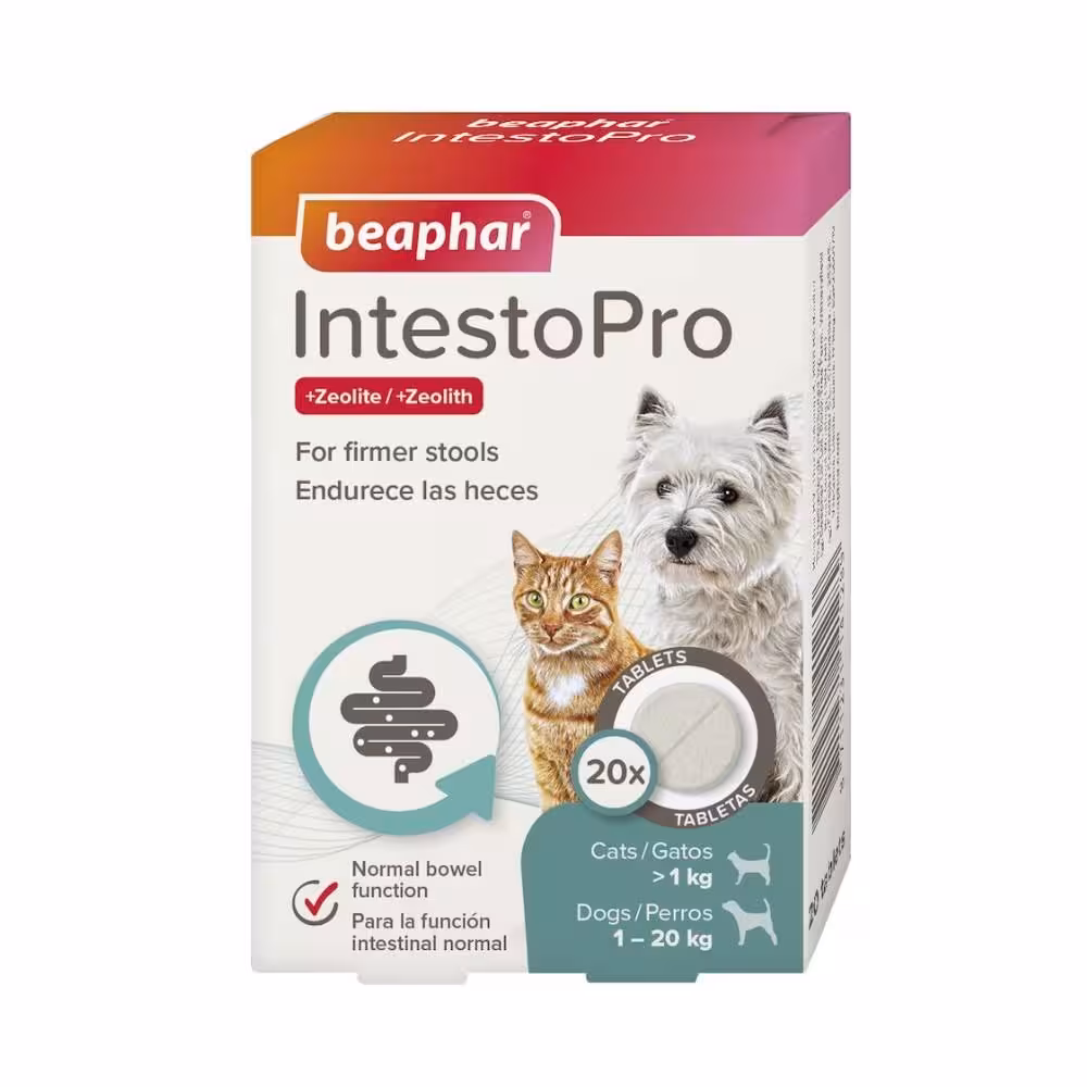 قرص ضد اسهال سگ و گربه بیفار مدل IntestoPro (20 عددی)