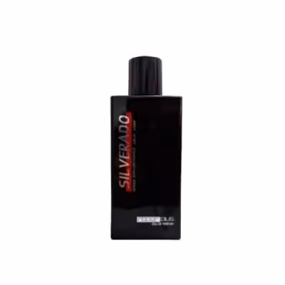 ادو پرفیوم مردانه رودیر پلاس مدل SILVERADO حجم 100 میلی لیتر