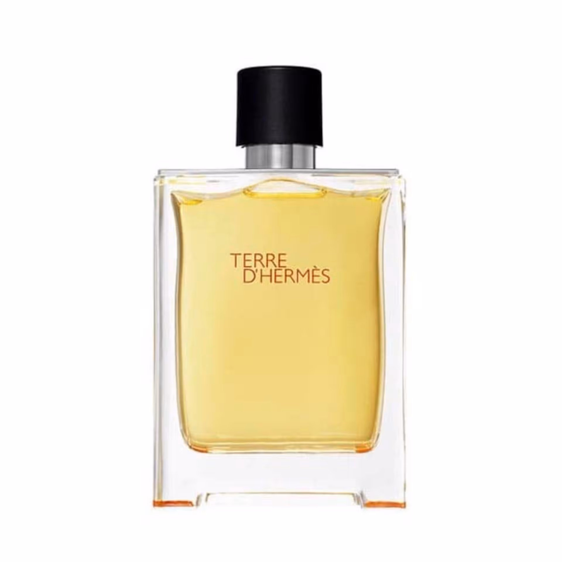 ادکلن مردانه هرمس تق پرفیوم (Terre d’Hermes Parfum)