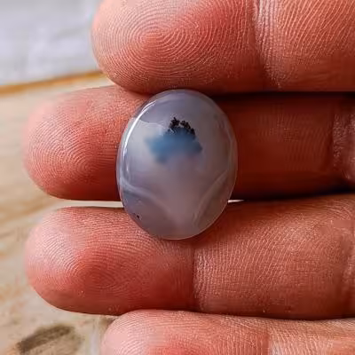 نگین شجر قائن معدنی طبیعی