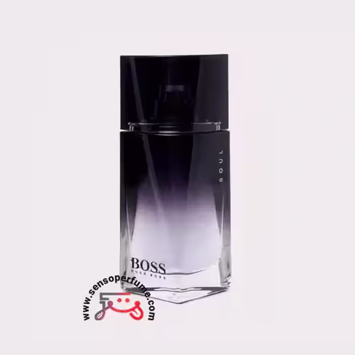 عطر ادکلن هوگو بوس سول-مردانه | hugo boss soul