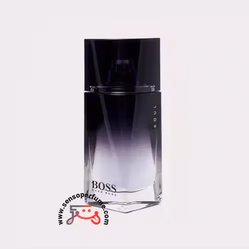 عطر ادکلن هوگو بوس سول-مردانه | hugo boss soul