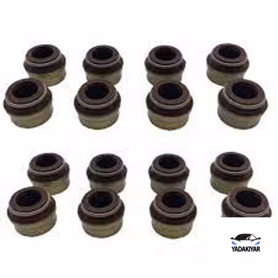 لاستیک سوپاپ 206 تیپ 5 – ویژن شرکتی