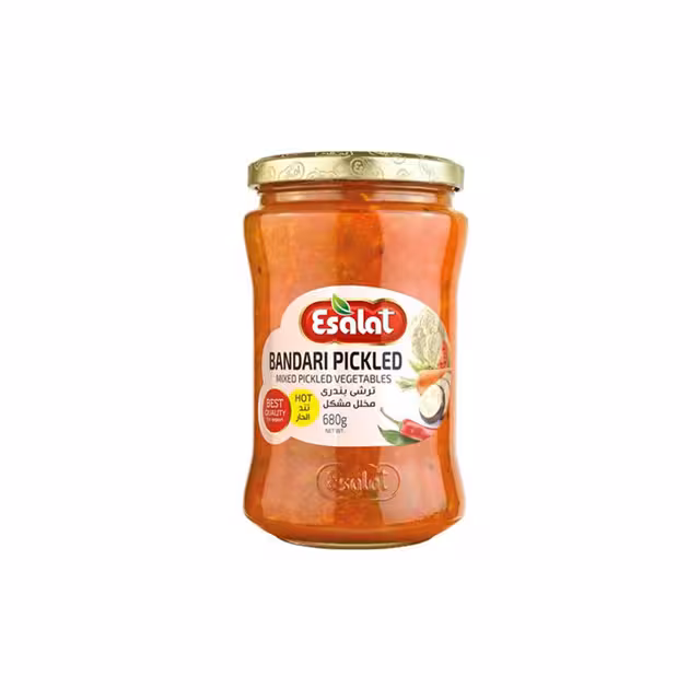 ترشی بندری اصالت 590 گرمی