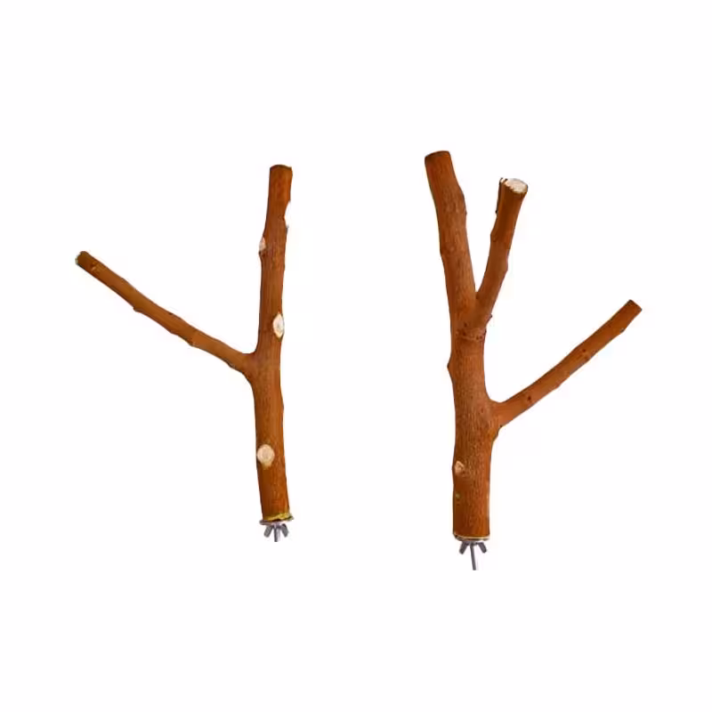 چوب دوشاخه مخصوص پرندگان