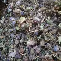 گل زوفا - 500 گرم