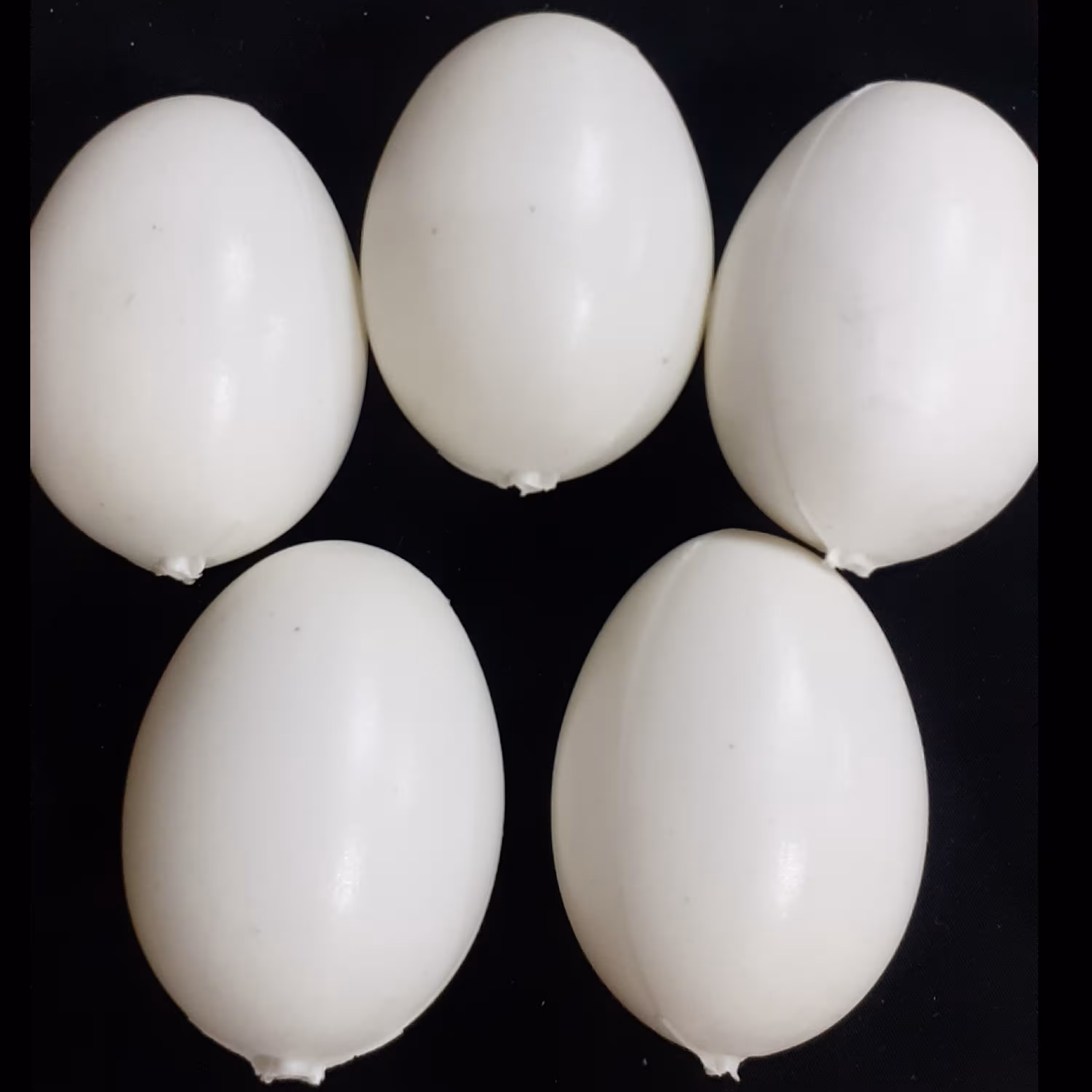 تخم مرغ تزئینی  پلاستیکی 