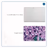 برچسب پوششی ماهوت مدل Purple-Flower مناسب برای تبلت مایکروسافت Surface Pro 3 2014