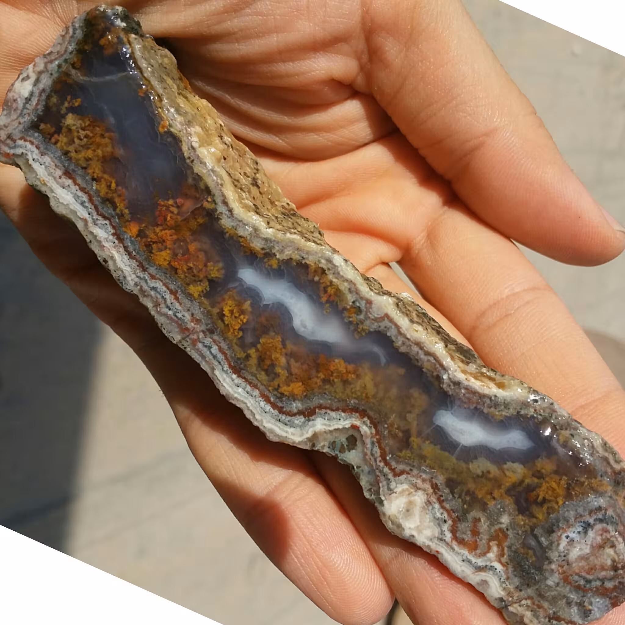 اسلایس سنگ راف عقیق شجر دریایی 7رنگ خارق العاده زیبا محشر دیدنی 100 در صد طبیعی شاهکار خلقت
تابلو نقاشی طبیعی بینظییییر