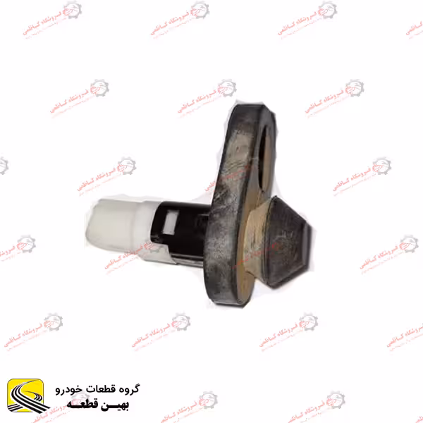 کلید لای درب آریو