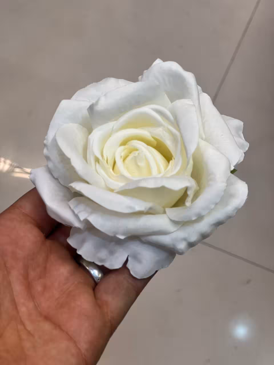 سرگل رز سایز بزرگ درجه1 وارداتی سفید