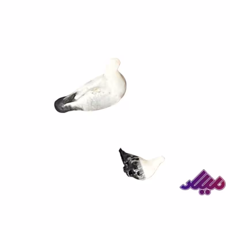 تزئینات کفتر مادر و بچه 2 و 1 سانت رنگ رندوم