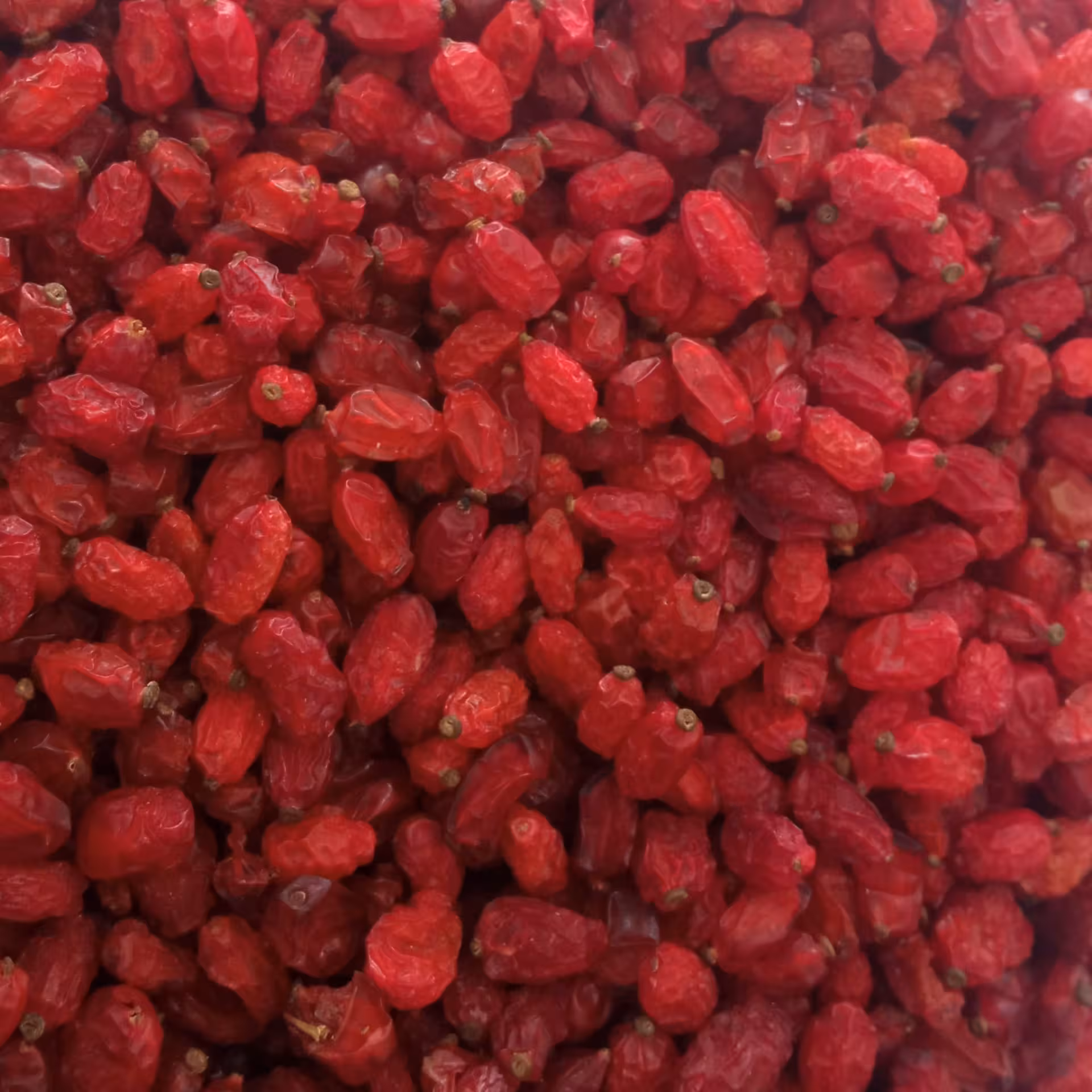 زرشک لوکس امساله(آب و روغن نخورده)